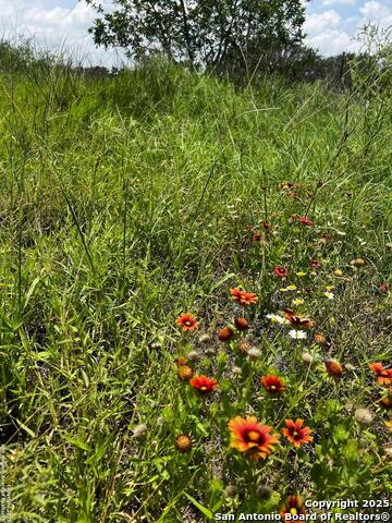 Listing photo id 8 for Tbd, Lot 5 Sanctuary Ln