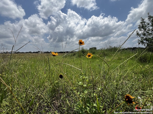 Listing photo id 10 for Tbd, Lot 5 Sanctuary Ln