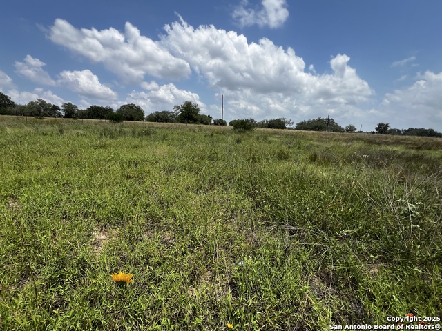 Listing photo id 11 for Tbd, Lot 5 Sanctuary Ln