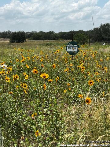 Listing photo id 0 for Tbd, Lot 5 Sanctuary Ln