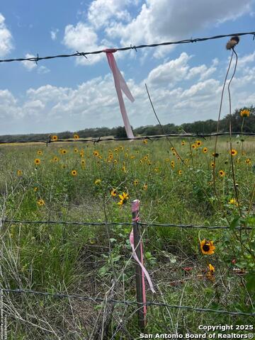 Listing photo id 5 for Tbd, Lot 5 Sanctuary Ln