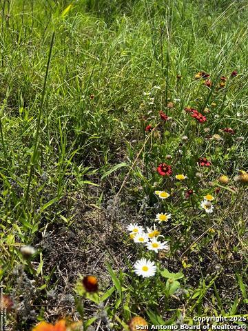 Listing photo id 6 for Tbd, Lot 5 Sanctuary Ln