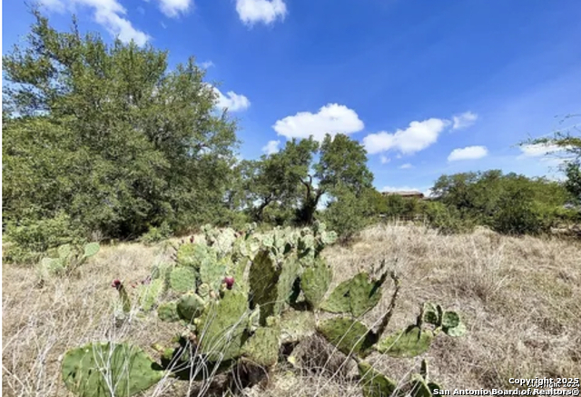 Details for 1245 Vintage Way, New Braunfels, TX 78132