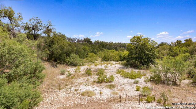 Listing photo id 3 for 613 County Road 441