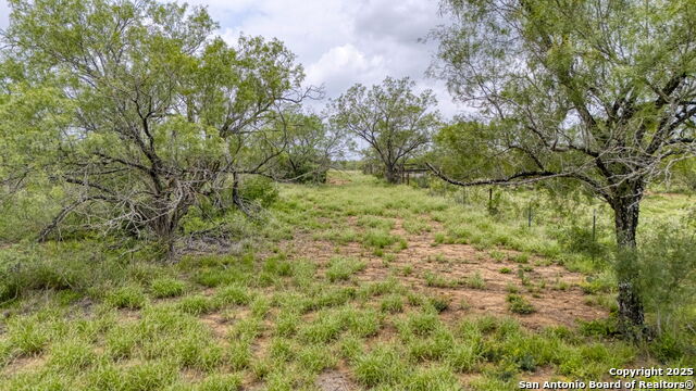 Details for 000 Cr 332 A, Jourdanton, TX 78026
