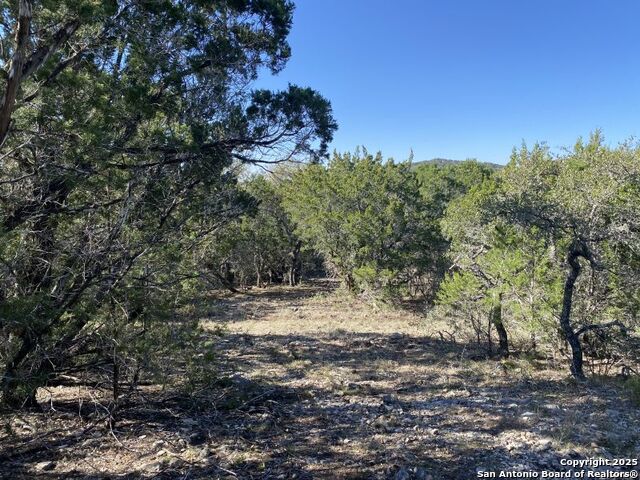 Image 13 of 32 For 000 Private Rd. 2560