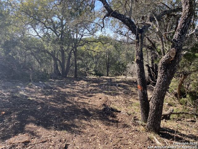 Image 7 of 32 For 000 Private Rd. 2560