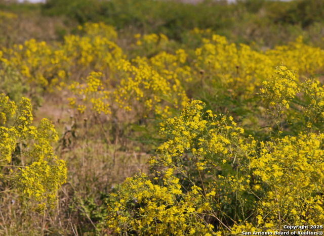 Image 13 of 28 For 129 Cr 2644  