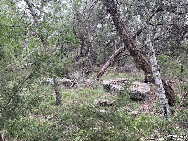 Image 2 of 5 For 1021 Santa Fe