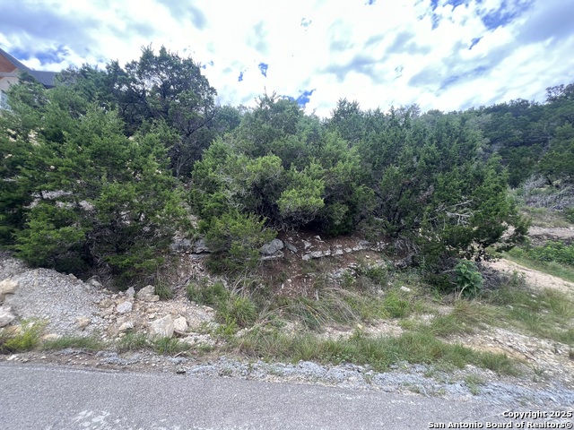 Details for 1597 Trail Pass, Canyon Lake, TX 78133