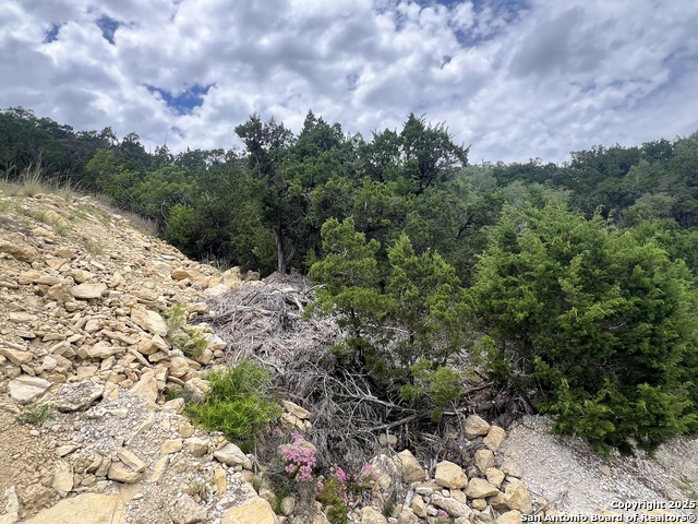 Listing photo id 1 for 1597 Trail Pass