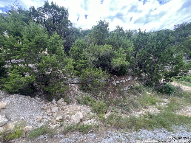 Listing photo id 6 for 1597 Trail Pass