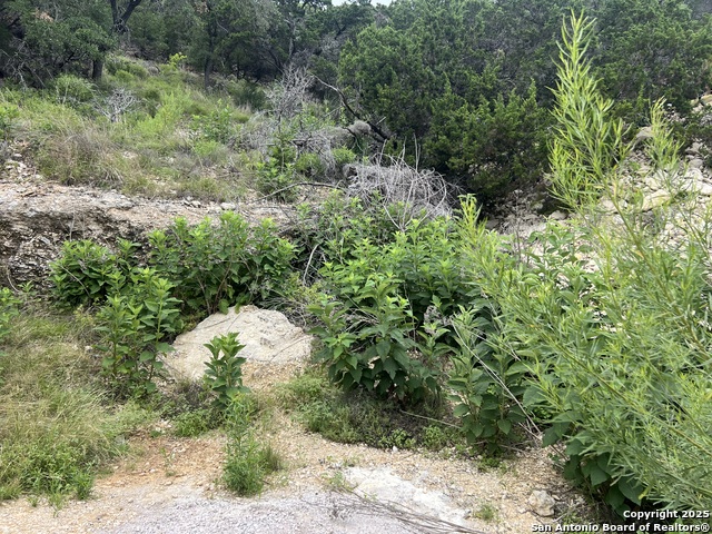 Listing photo id 1 for 1609 Trail Pass