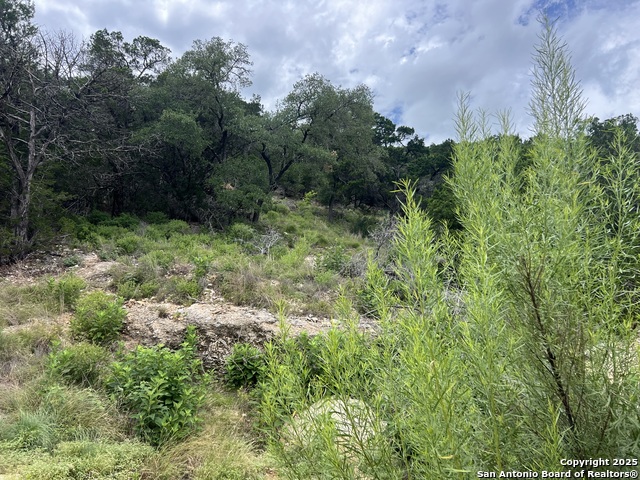 Listing photo id 2 for 1609 Trail Pass