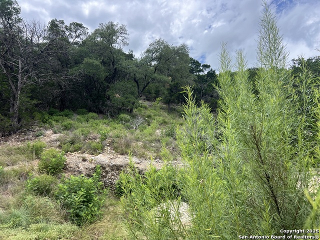 Listing photo id 3 for 1609 Trail Pass