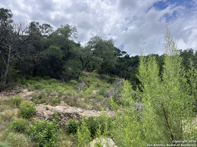 Listing photo id 4 for 1609 Trail Pass