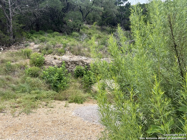 Listing photo id 5 for 1609 Trail Pass