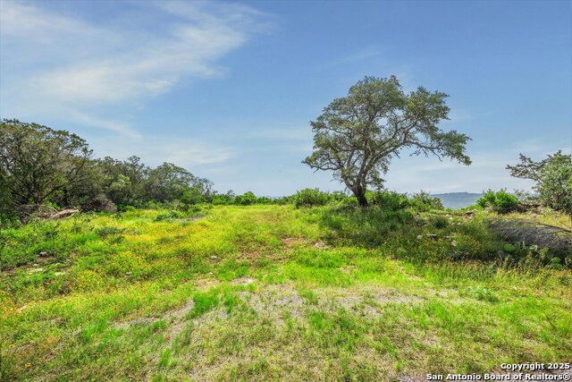 Details for 350 County Road 2751, Mico, TX 78056