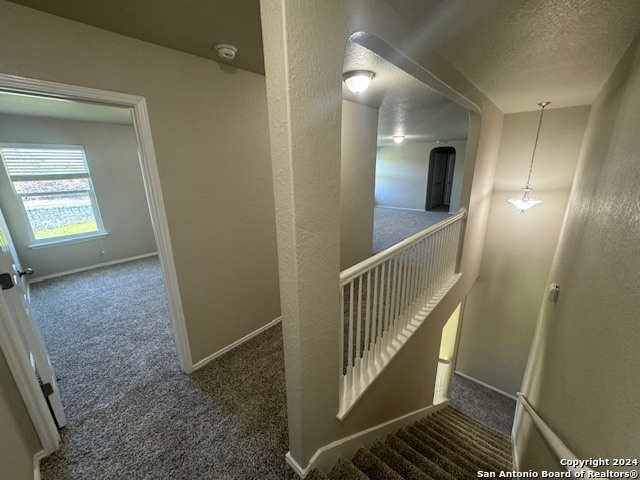 Image 15 of 27 For 12147 Potter Cir
