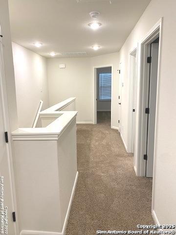 Image 8 of 16 For 13910 Enzo Gate  102