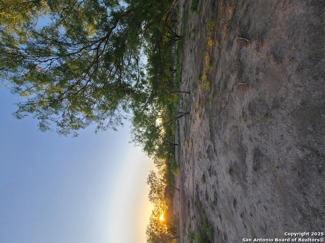 Details for 0 Fm 1436 N, La Pryor, TX 78872