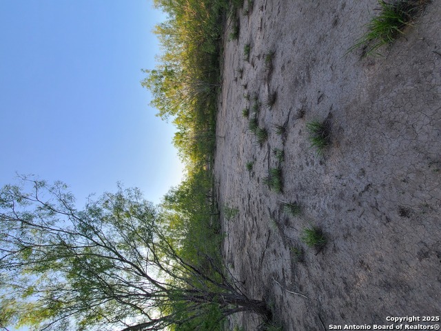 Listing photo id 2 for 0 Fm 1436 N