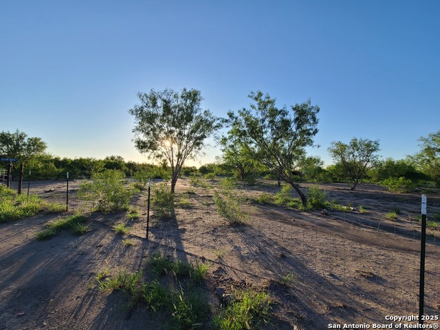 Listing photo id 6 for 0 Fm 1436 N