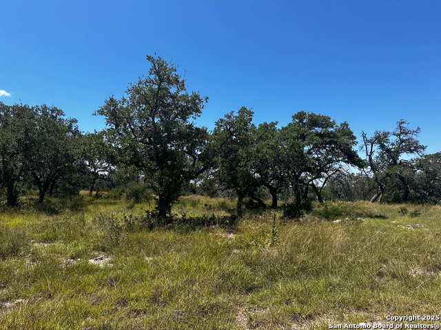 Listing photo id 1 for 23 Loma Vista