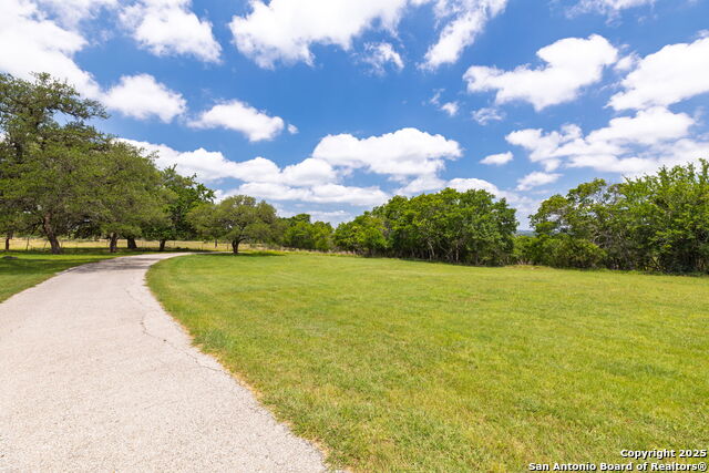 Image 11 of 52 For 479 Park Rd 23