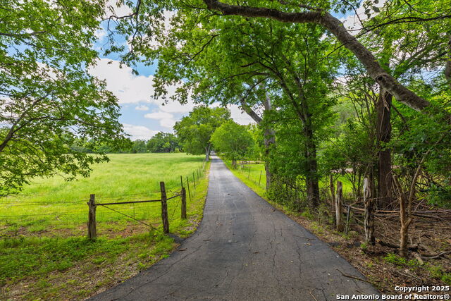 Image 7 of 52 For 479 Park Rd 23