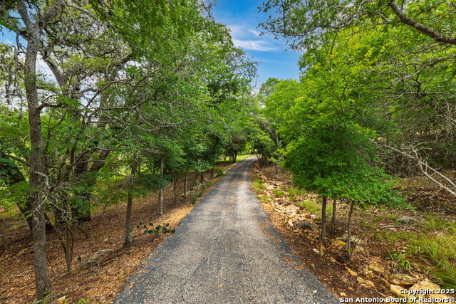 Image 8 of 52 For 479 Park Rd 23