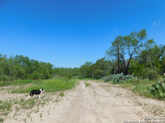 Image 12 of 13 For 1590 Mccauley Rd