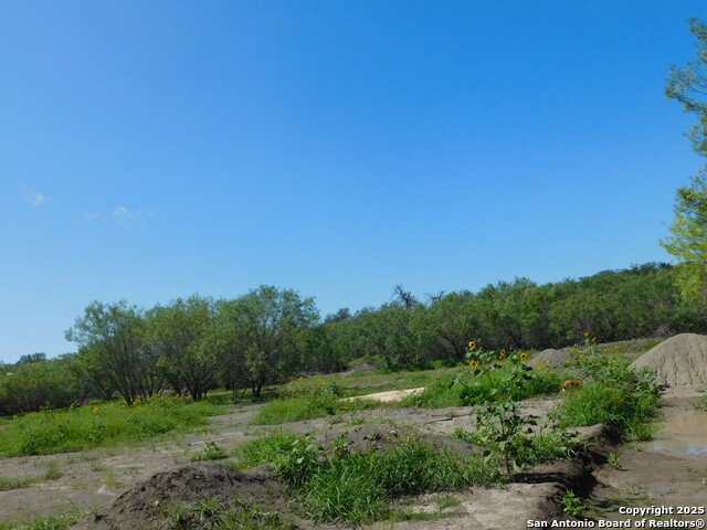 Image 6 of 13 For 1590 Mccauley Rd