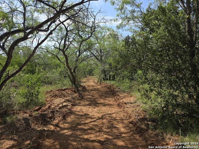 Details for 385 Marrou Rd., Seguin, TX 78155