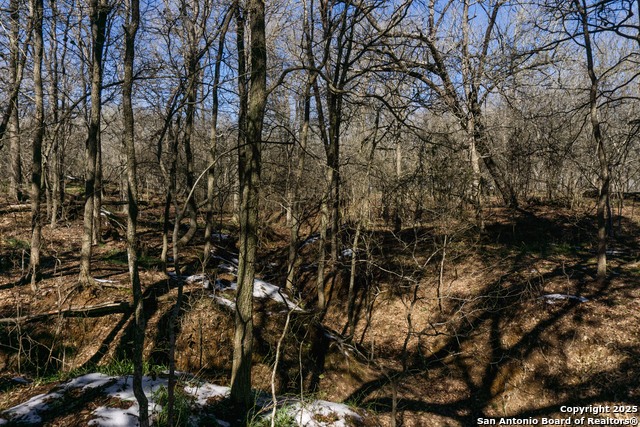 Image 10 of 13 For 385 Marrou Rd.