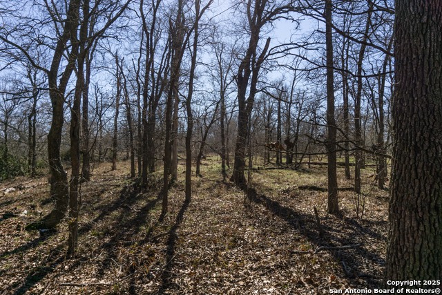 Image 11 of 13 For 385 Marrou Rd.