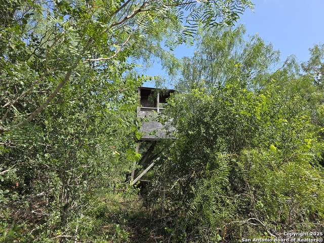Image 3 of 13 For 385 Marrou Rd.