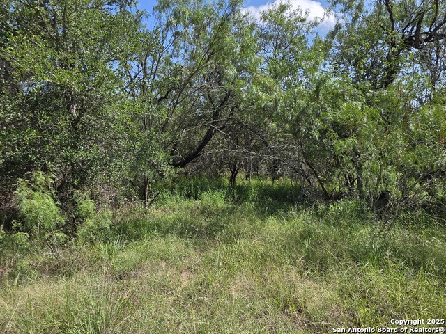 Image 4 of 13 For 385 Marrou Rd.