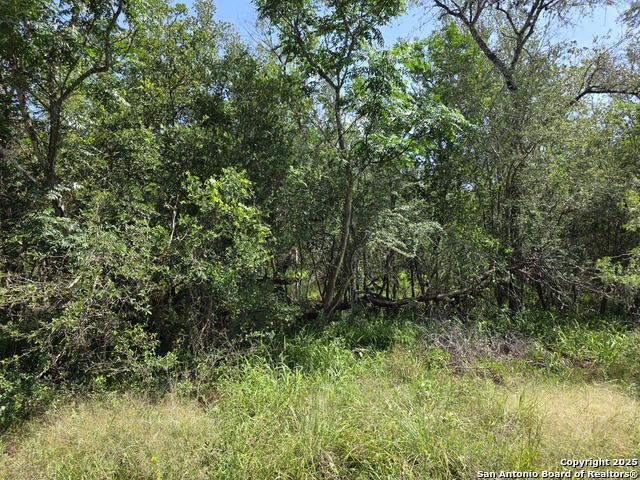 Image 5 of 13 For 385 Marrou Rd.