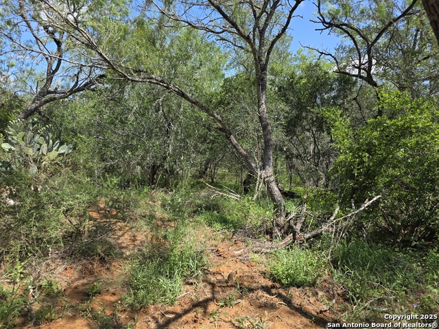 Image 6 of 13 For 385 Marrou Rd.