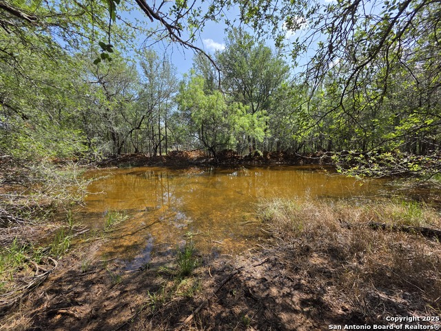 Image 7 of 13 For 385 Marrou Rd.