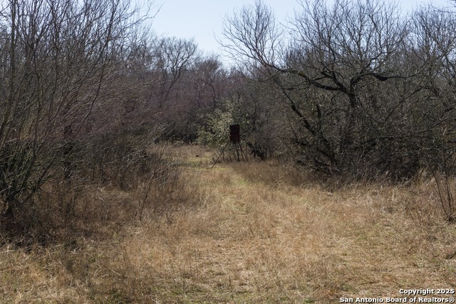 Image 8 of 13 For 385 Marrou Rd.