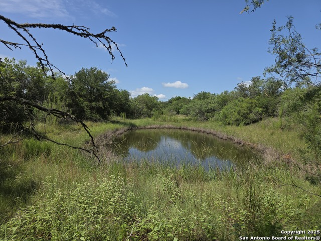 Details for 445 Marrou Rd., Seguin, TX 78155