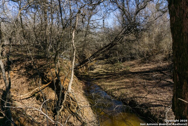 Image 10 of 14 For 445 Marrou Rd.