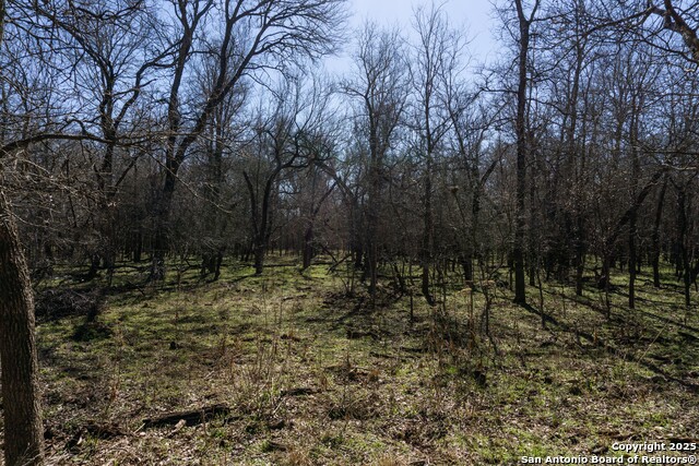 Image 11 of 14 For 445 Marrou Rd.