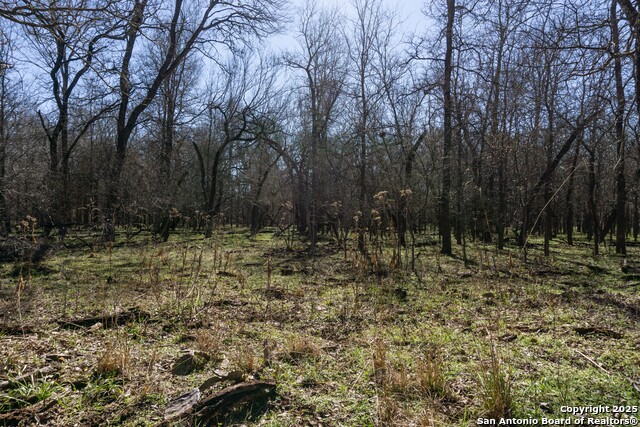 Image 12 of 14 For 445 Marrou Rd.