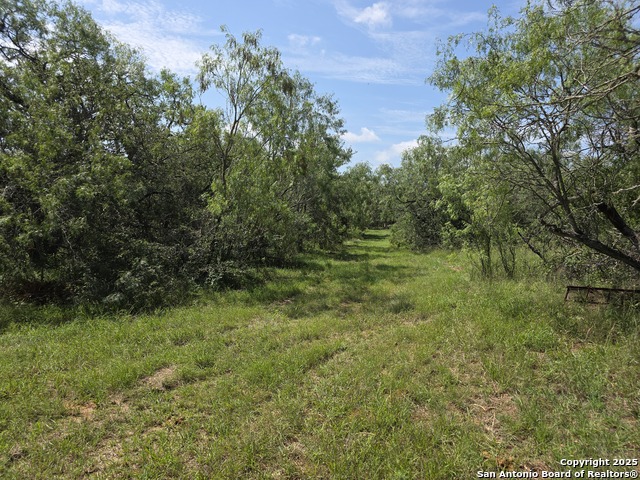 Image 2 of 14 For 445 Marrou Rd.