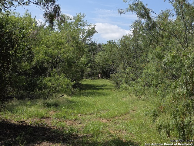 Image 3 of 14 For 445 Marrou Rd.