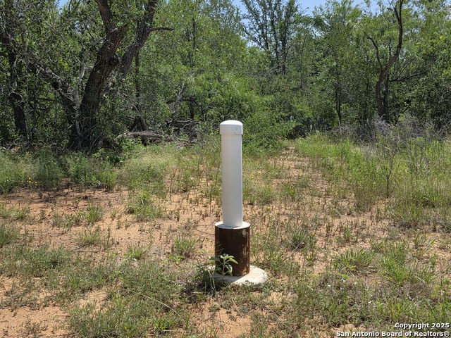 Image 7 of 14 For 445 Marrou Rd.