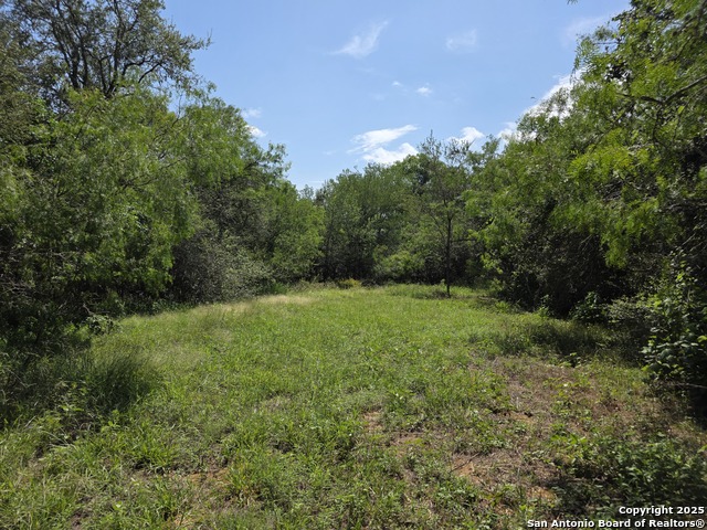 Image 8 of 14 For 445 Marrou Rd.